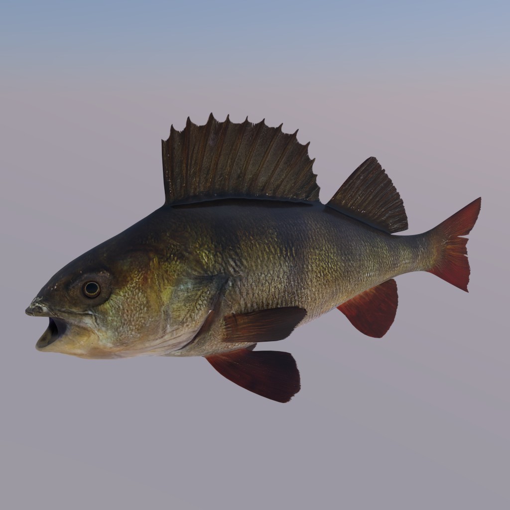 Fish Perch preview image 2